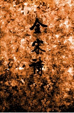 金宋诗 5