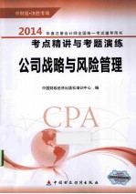 公司战略与风险管理