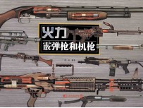 火力 霰弹枪和机枪