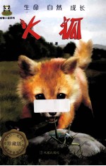 倔小孩 火狐
