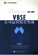 VBSE公司运营综合实战