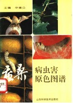 蚕桑病虫害原色图谱