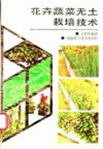 花卉蔬菜无土栽培技术
