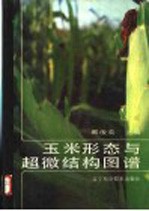 玉米形态与超微结构图谱