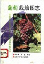 葡萄栽培图志