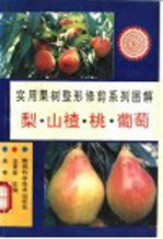 实用果树整形修剪系列图解 梨、山楂、桃、葡萄