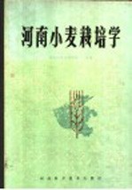 河南小麦栽培学