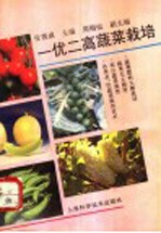 一优二高蔬菜栽培