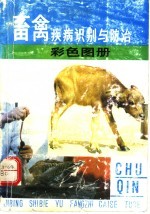 畜禽疾病识别与防治彩色图册