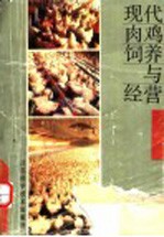 现代肉鸡饲养与经营