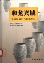 和龙兴城 新石器及青铜时代遗址发掘报告