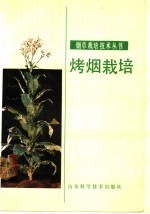 烤烟栽培