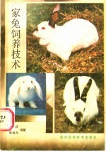 家兔饲养技术