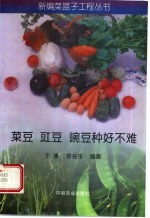 菜豆 豇豆 豌豆种好不难
