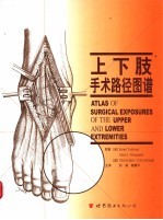 上下肢手术路径图谱