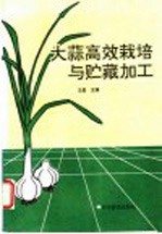 大蒜高效栽培与贮藏加工