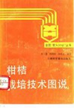 柑桔栽培技术图说