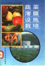 蔬菜薄膜设施栽培