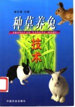 种草养兔技术