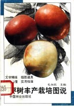 枣树丰产栽培图说