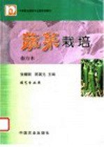蔬菜栽培 南方本