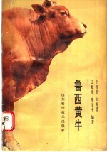 鲁西黄牛