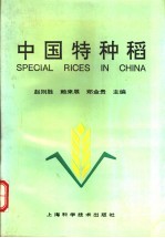中国特种稻
