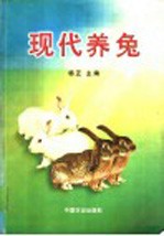 现代养兔