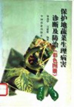 保护地蔬菜生理病害诊断及防治 彩色图册