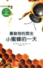 最勤劳的昆虫 小蜜蜂的一天