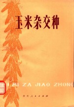 玉米杂交种