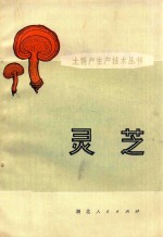 灵芝