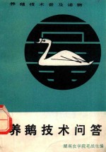 养鹅技术问答