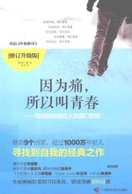 因为痛,所以叫青春 写给独自站在人生路口的你 修订升级版
