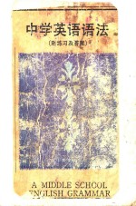 中学英语语法