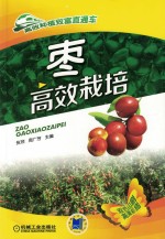 高效种植致富直通车 枣高效栽培