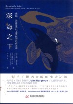 深海之下 虎鲸，海洋世界以及黑鲸背后的真相