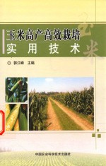 玉米高产高效栽培实用技术