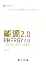 能源2.0 中国迈向多元化时代