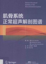 肌骨系统正常超声解剖图谱