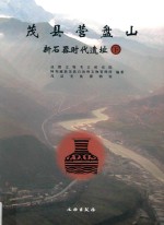 茂县营盘山新石器时代遗址 下