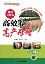 高效养高产母猪 视频升级版