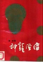 神龙风云 唐宫内史