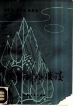 文学创作漫谈