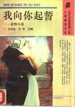 我向你起誓 爱情小说