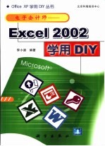 电子会计师 Excel 2002学用DIY