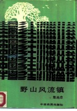 野山风流镇