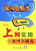 上网实用 技巧与提高