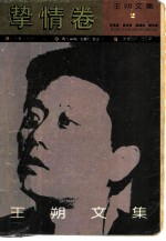 王朔文集 挚情卷