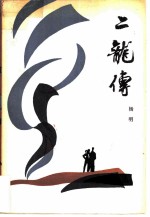 二龙传